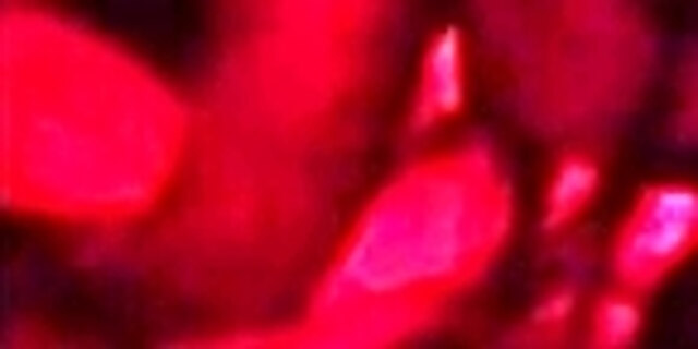 amateur,anal,ass,boobs,college girl,cowgirl,creampie,dick,fucking,hd,indian,on top,orgasm,pissing,polishing,reality,riding,rough sex,squirt,teen